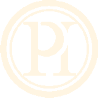 Logo Icon